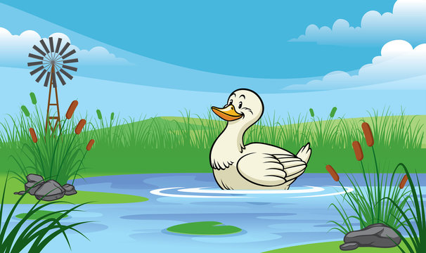 duck in the pond with cartoon style