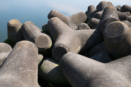 Tetrapods of the river