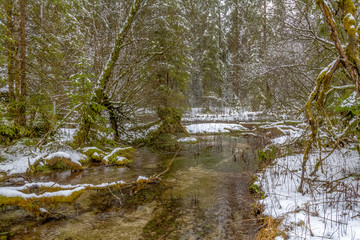 around the Hintersee at winter time
