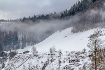 around the Hintersee at winter time