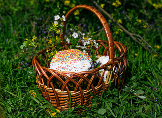Easter basket with cake and colored eggs among spring flowers and grass blossom. Holiday cookies with bright icing top for spring celebration. Traditional Easter treat – sweet cooking and painted eggs