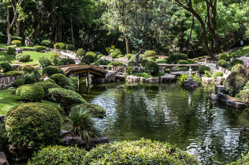 Fototapeta na wymiar Japanese garden and a lake at the forest in Guadalajara, Mexico