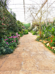 flowers and Ornamental plants in the greenhouse garden designs