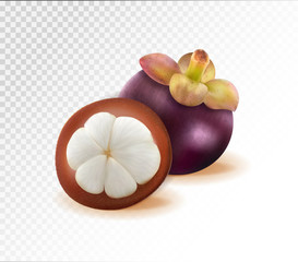 Mangosteens Queen of fruits, mangosteen on transparent background. Quality realistic vector, 3d illustration