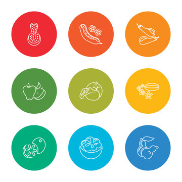 outline stroke pear, mangosteen, breast milk fruit, carambola, cabbage, tangerine, eggplant, cucumber, papaya, vector line icons set on rounded colorful shapes