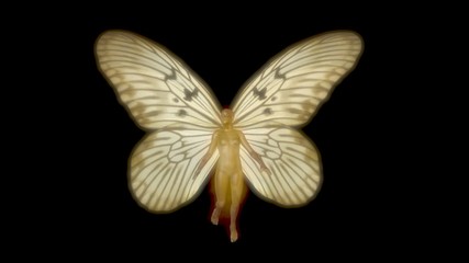 Fototapeta na wymiar Fairy with wings . Ricepaper Idea blanchardi butterfly wing pattern. 3d render