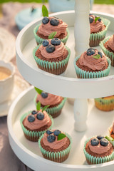 Brown cupcake with fresh blueberries and chocolate cream