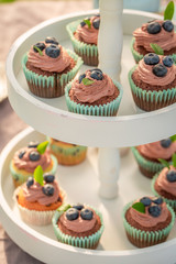 Tasty chocolate muffin in sunny summer garden