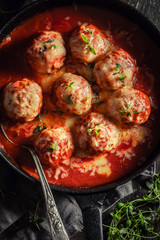 Tasty meatballs with fresh herbs and tomatoes