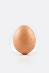 Chicken egg standing vertical isolated on white background..