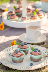 Sweet chocolate muffin served with coffee in garden
