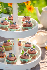 Homemade brown cupcake made of cream and fresh berries