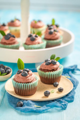 Homemade cupcake with blueberries and chocolate cream