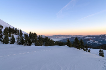 Fototapeta premium Cold cloudless sunrise over the Carpathian mountains and forests in winter; Early chilly morning