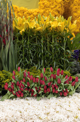 Floristic decoration with yellow lilies and red tulips