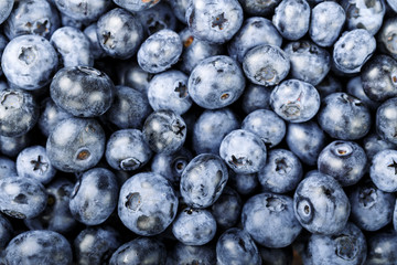fresh blueberries as background