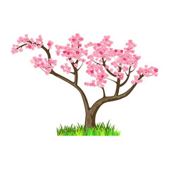 Obraz premium Japan tree. Sakura. Nature and ecology. Natural object for landscape design or park. Cherry Blossom Season. Cartoon style. Blooming tree illustration Isolated on white background.