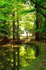 新緑の木洩れ日に輝く常照皇寺の碧潭池