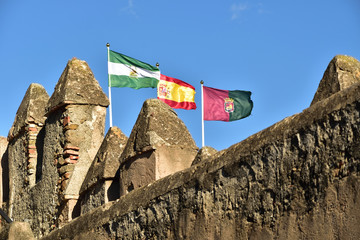 Hiszpania flagi