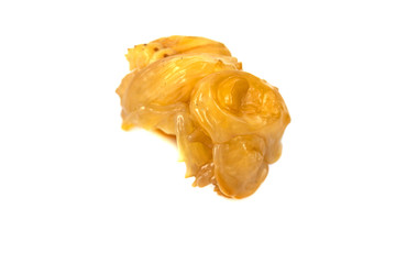 Larva of dung beetle isolate on white