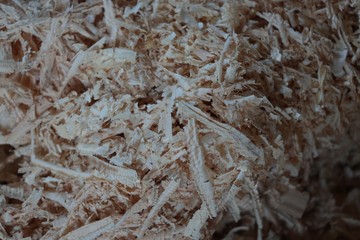 carpenter workshop and wood parts