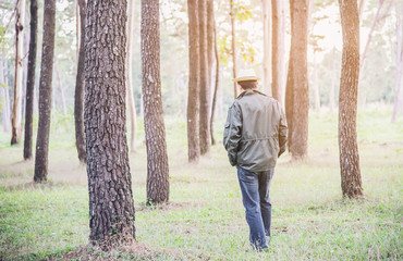 People portrait in green forest nature with warm sun light