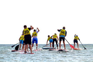 Group of people compete in rowing on stand up paddle board (SUP) on sea. View from the back