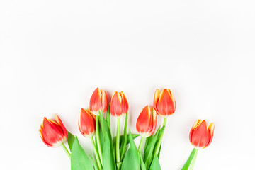 Red tulips flowers on white background