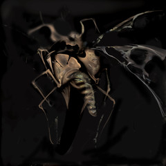 abstract insect with wings, gray beige on dark background