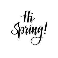 Hello spring vector seasonal greetings hand drawn modern calligraphy