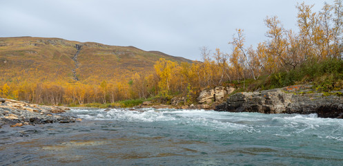 River in autumn. Abisko national park in Sweden.