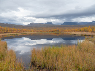 River in autumn. Abisko national park in Sweden.