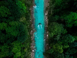 Aluminium Prints Forest river Blue river flowing in forest at spring