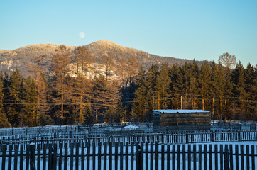moon over the mountains in the afternoon. forest and mountain landscape.