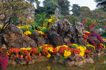 Water tankers in the park