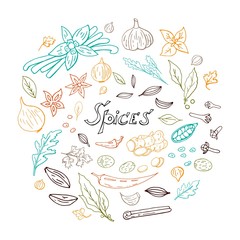 Hand drawn set of spices with with colorful lines in circle space isolated on white background, Spices vector collection
