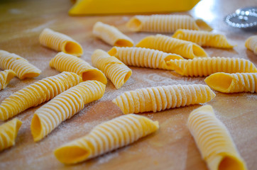 Fresh Garganelli Pasta
