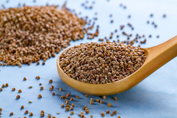 Dry buckwheat in wooden spoon on blue background. Buckwheat cereal grains for dietary, slimming and healthy food
