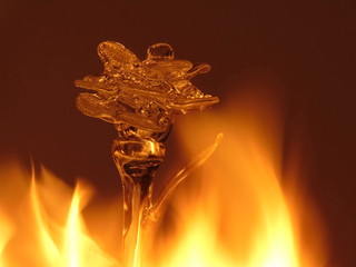 glass flower on dark background aflame