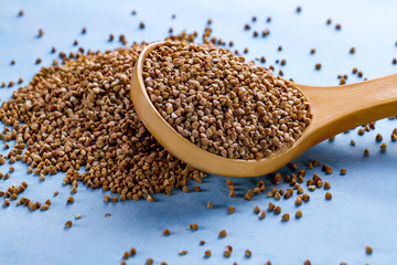 Dry buckwheat in wooden spoon on blue background. Buckwheat cereal grains for dietary, slimming and healthy food