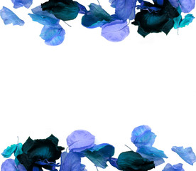 Flower petals and leaves frame, blue color