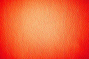 the texture of the skin