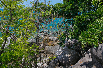 beautiful rocky seashore on Koh Tao, Thailand