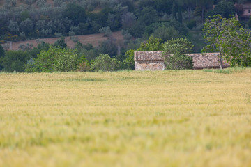 landscape mood in Italy Marche