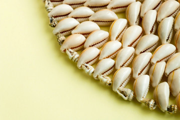 Beautiful summer cowrie shells on yellow background