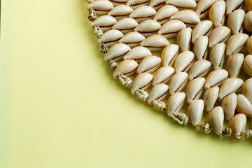 Beautiful summer cowrie shells on yellow background
