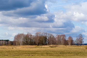 Obraz premium Wiosna na Podlasiu. Pola łąki i wierzby. Wiosenny dzień w dolinie Narwi.