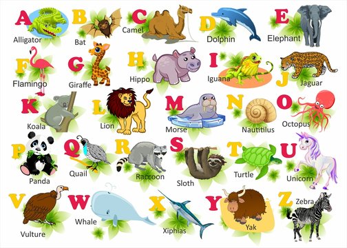 Alphabet With Animals