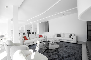 Luxurious and modern living room, dining room and kitchen. Luxurious furniture, sofa, table and chairs.