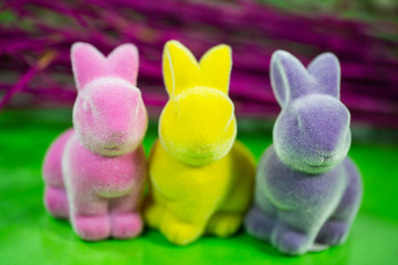 lustige Osterhasen, bunte Osterhasen